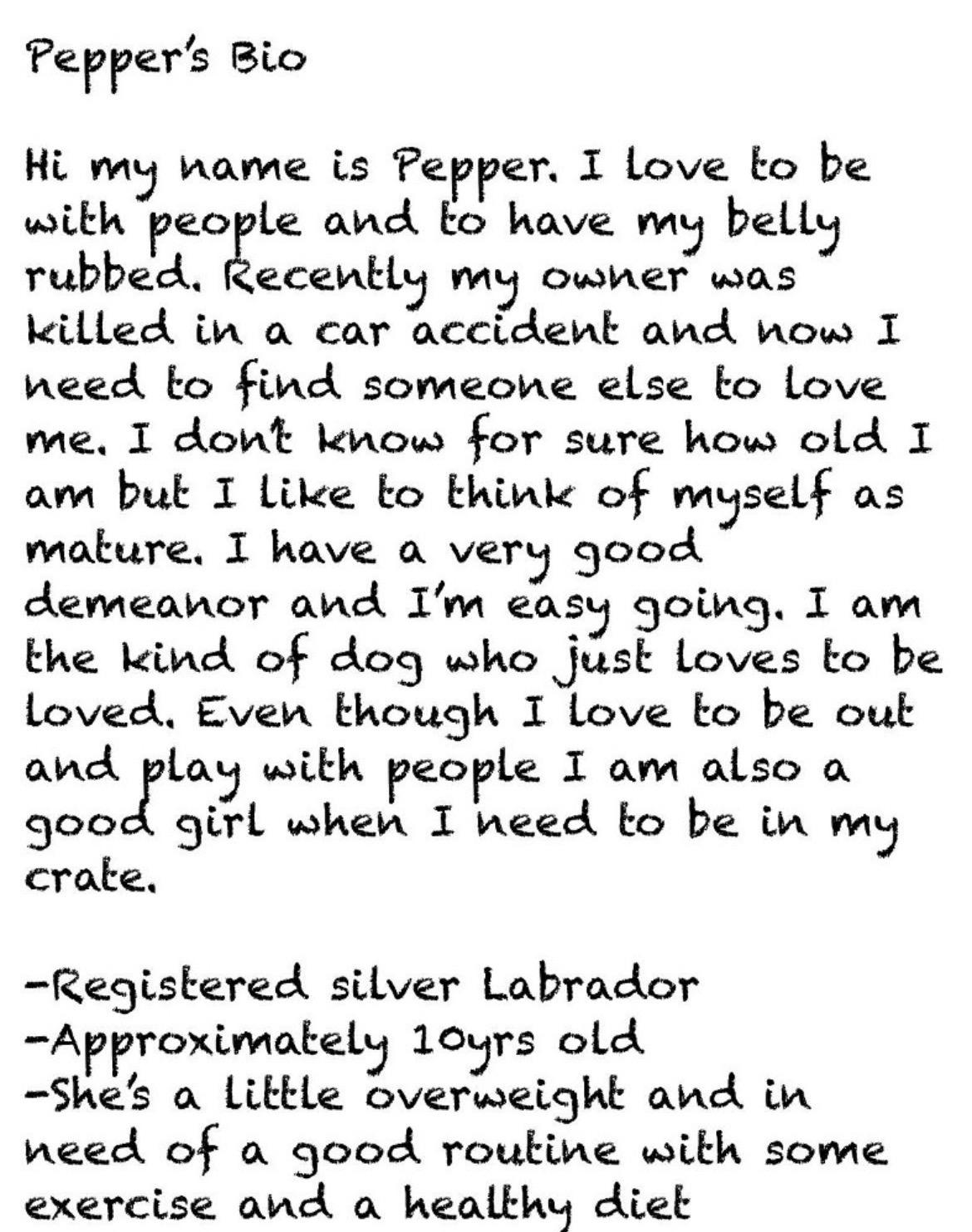 Enlarge Pepper - COURTESY listing, a ADOPTABLE Labrador Retriever in Powell Butte, OR image 2/3