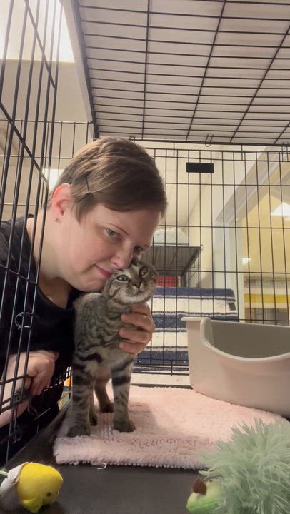 Enlarge Tayzee, an adopted mixed breed in Hillsboro, TX video 5/6
