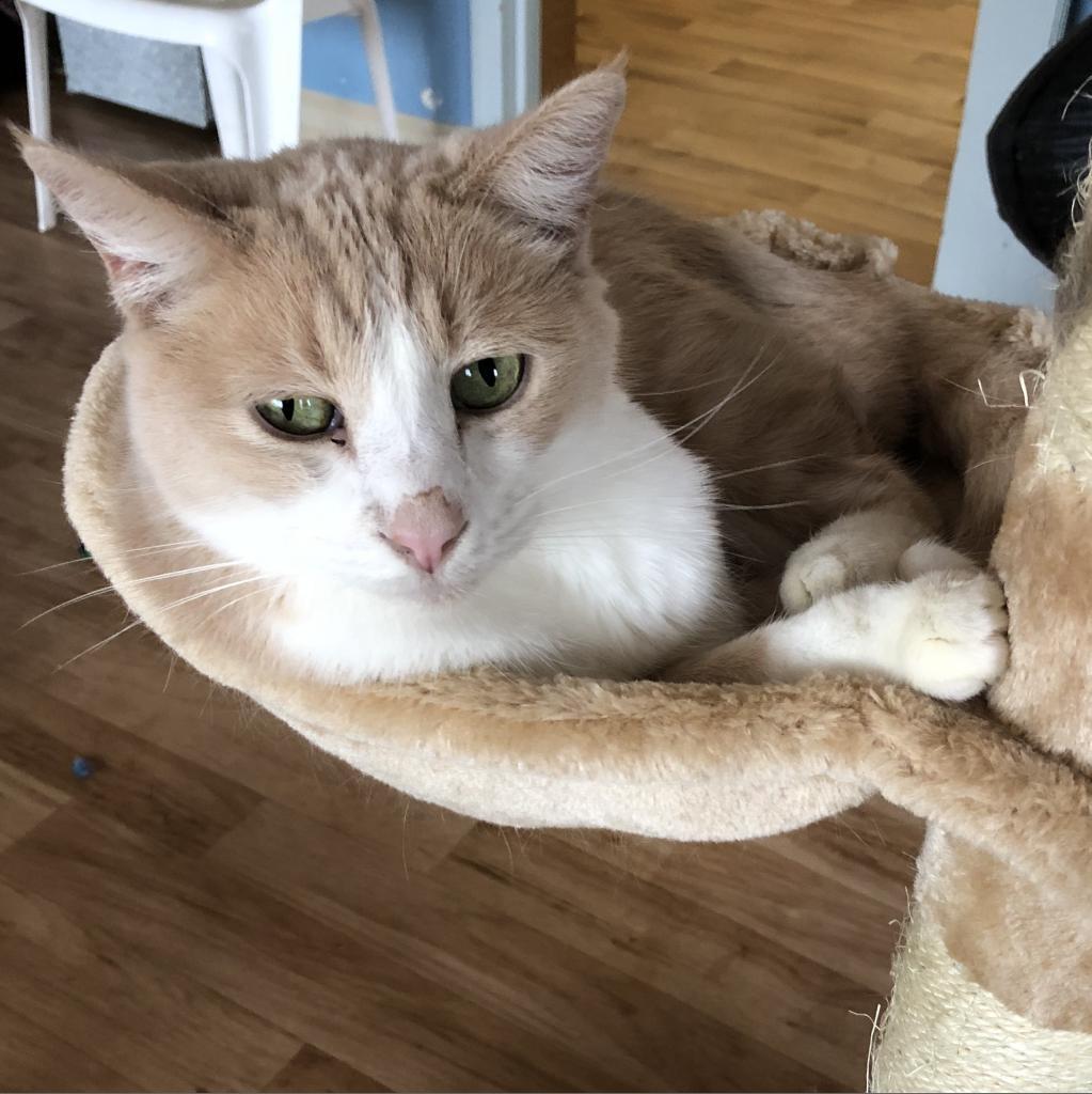 Joanne — thumbnail 3