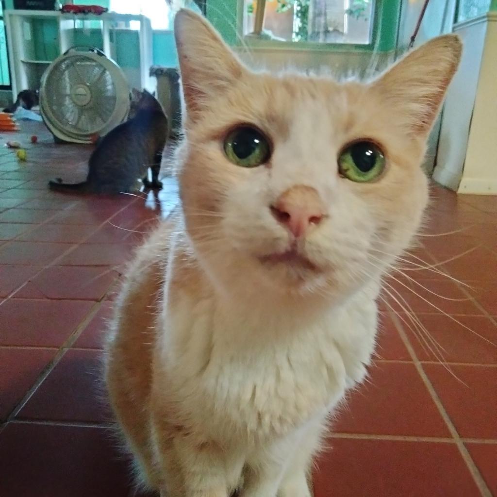 Joanne — thumbnail 4