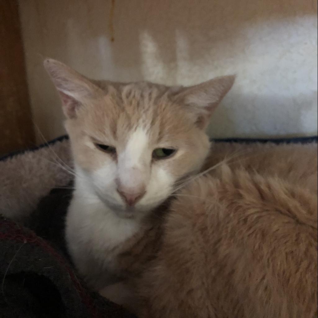 Joanne — thumbnail 5