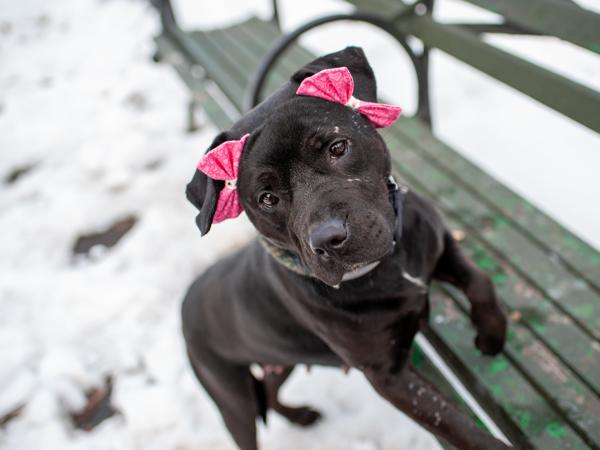 Rain — thumbnail 2