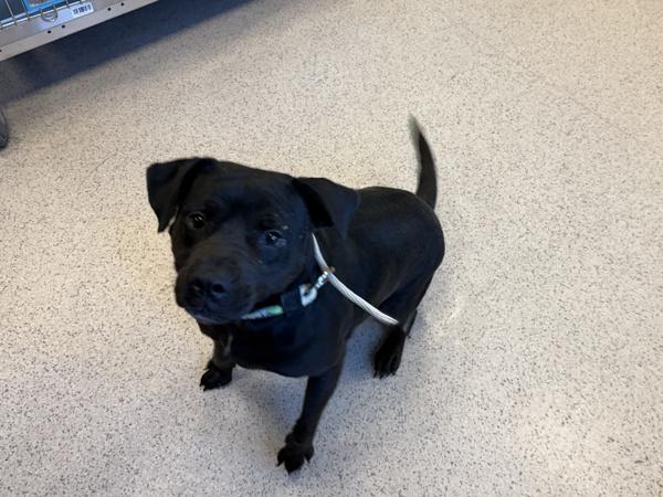 Rain — thumbnail 3