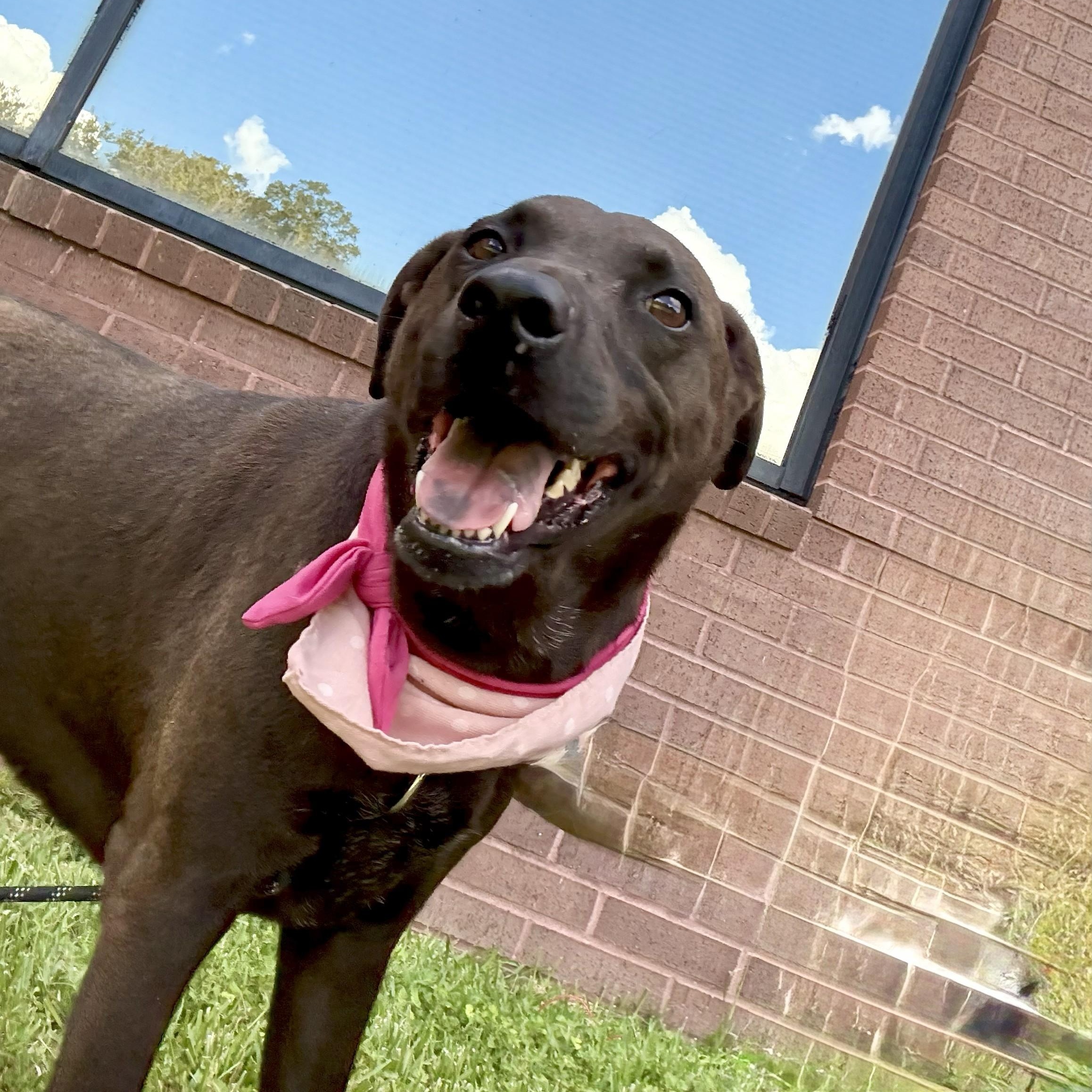 Carmen Coco Puff — thumbnail 2