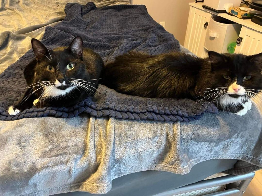 Elroy & Astro