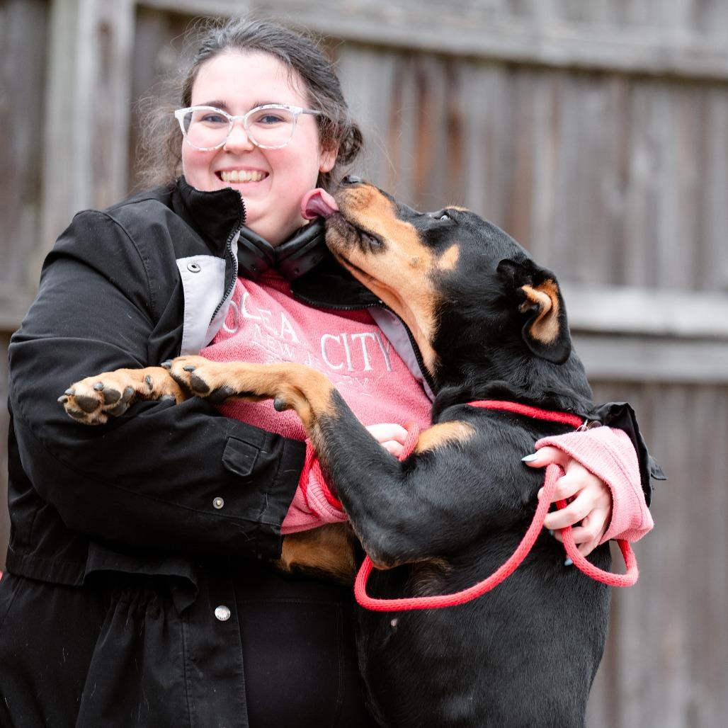 Filly, a Adoptable mixed breed in Chester Springs, PA image 5/6