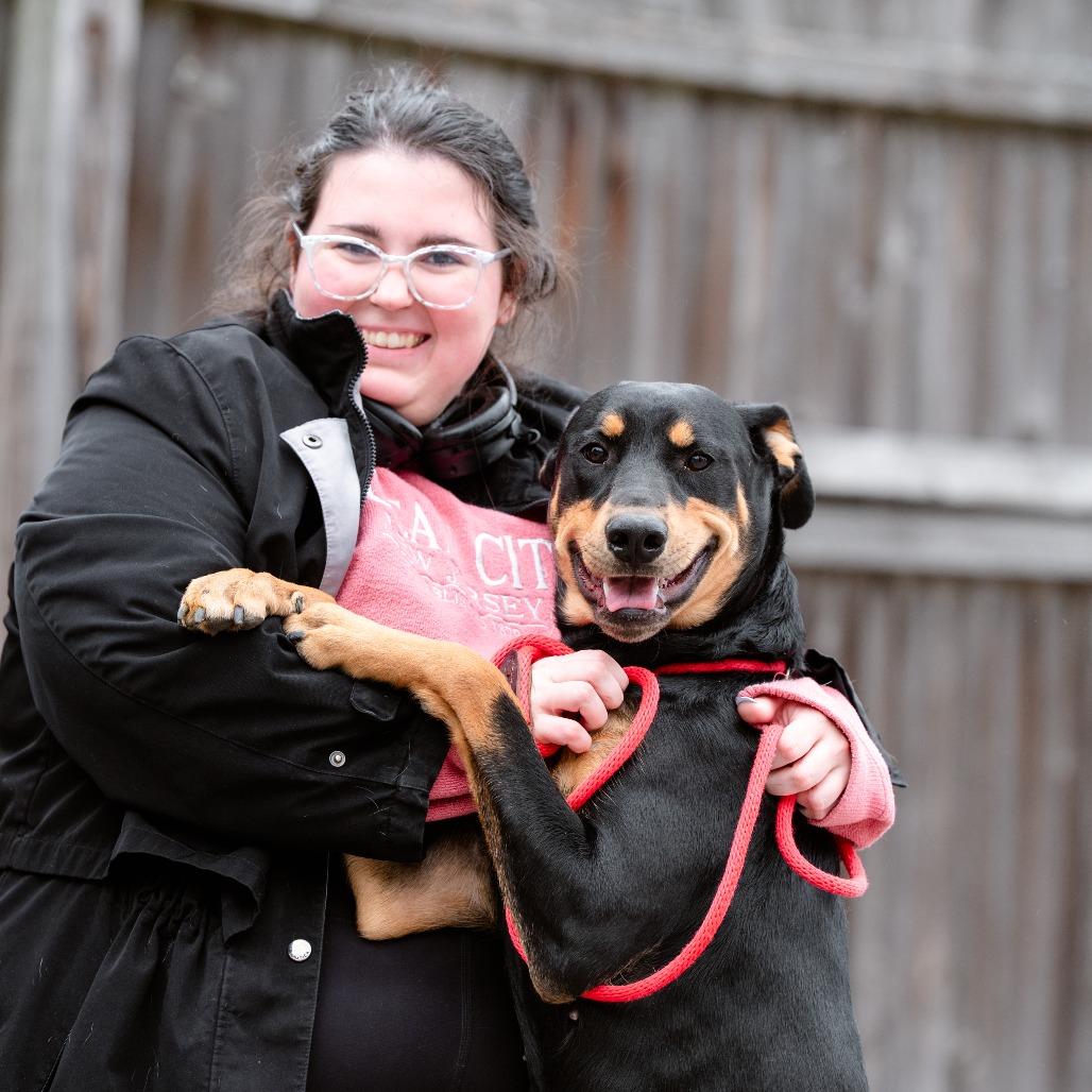 Filly, a Adoptable mixed breed in Chester Springs, PA image 2/6