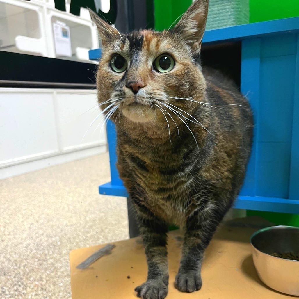 Buddha — thumbnail 2