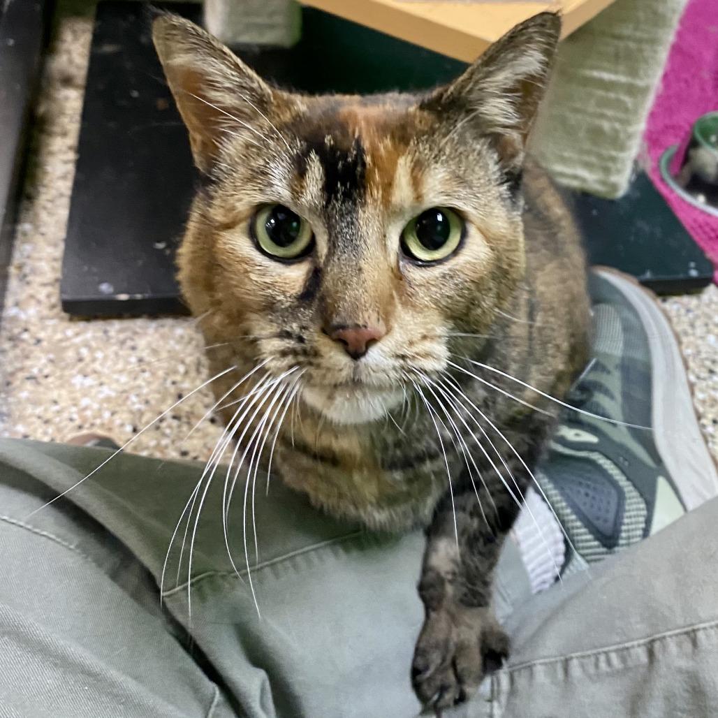 Buddha — thumbnail 3