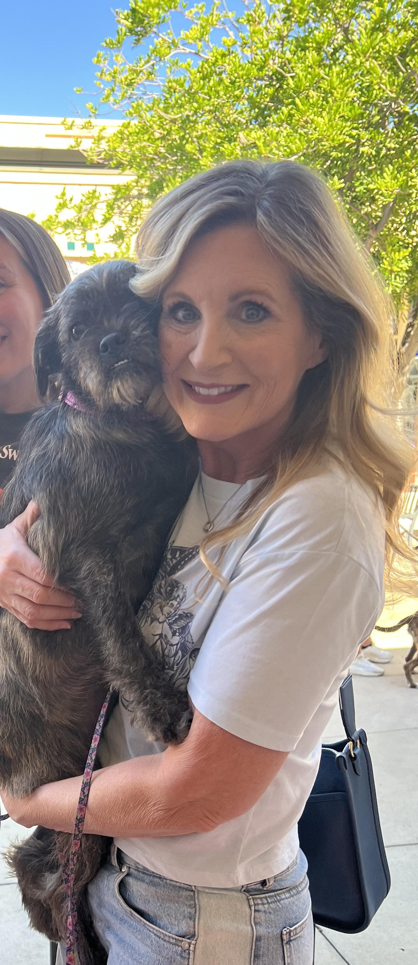 Stacy, a Adoptable mixed breed image 3/4