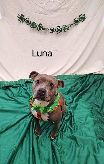 Luna