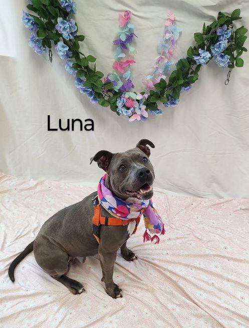 Luna