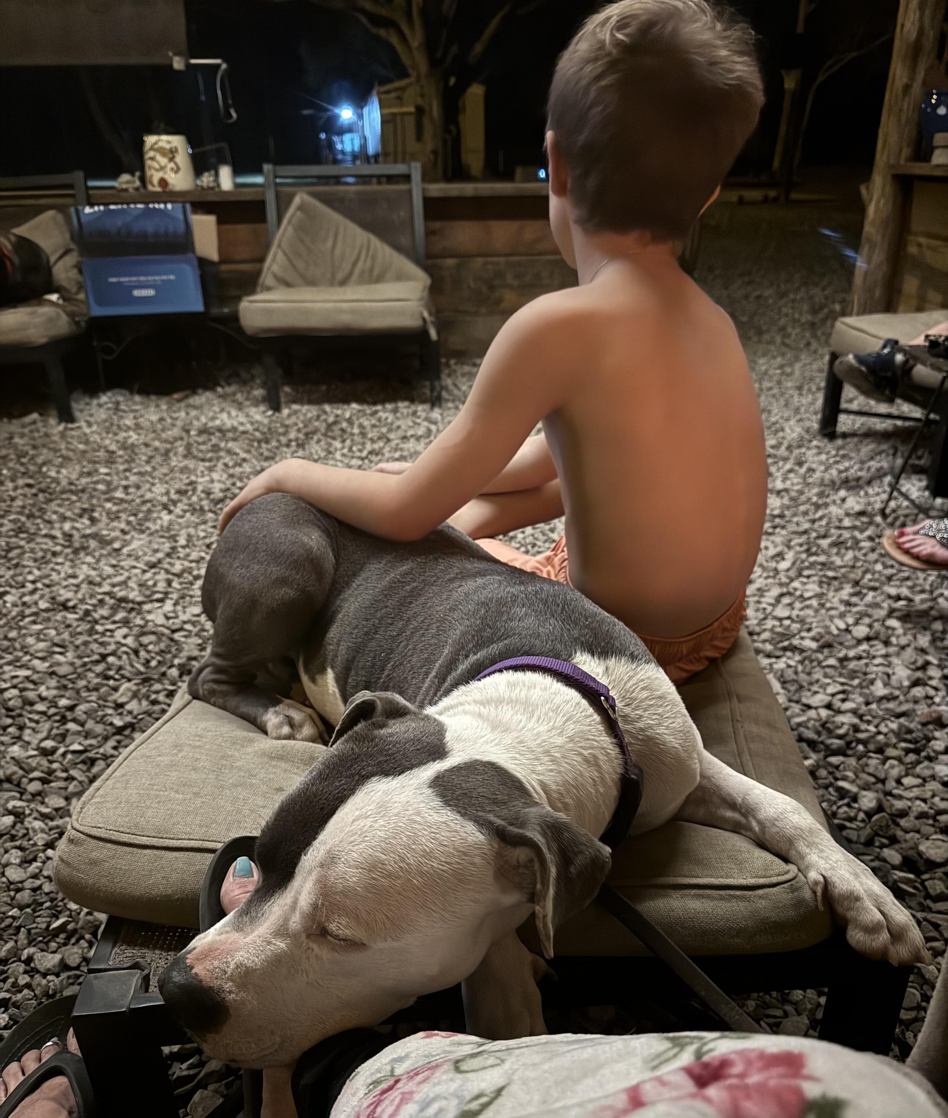 Enlarge Galiano, a ADOPTABLE Mixed Breed in Rayne, LA image 4/5