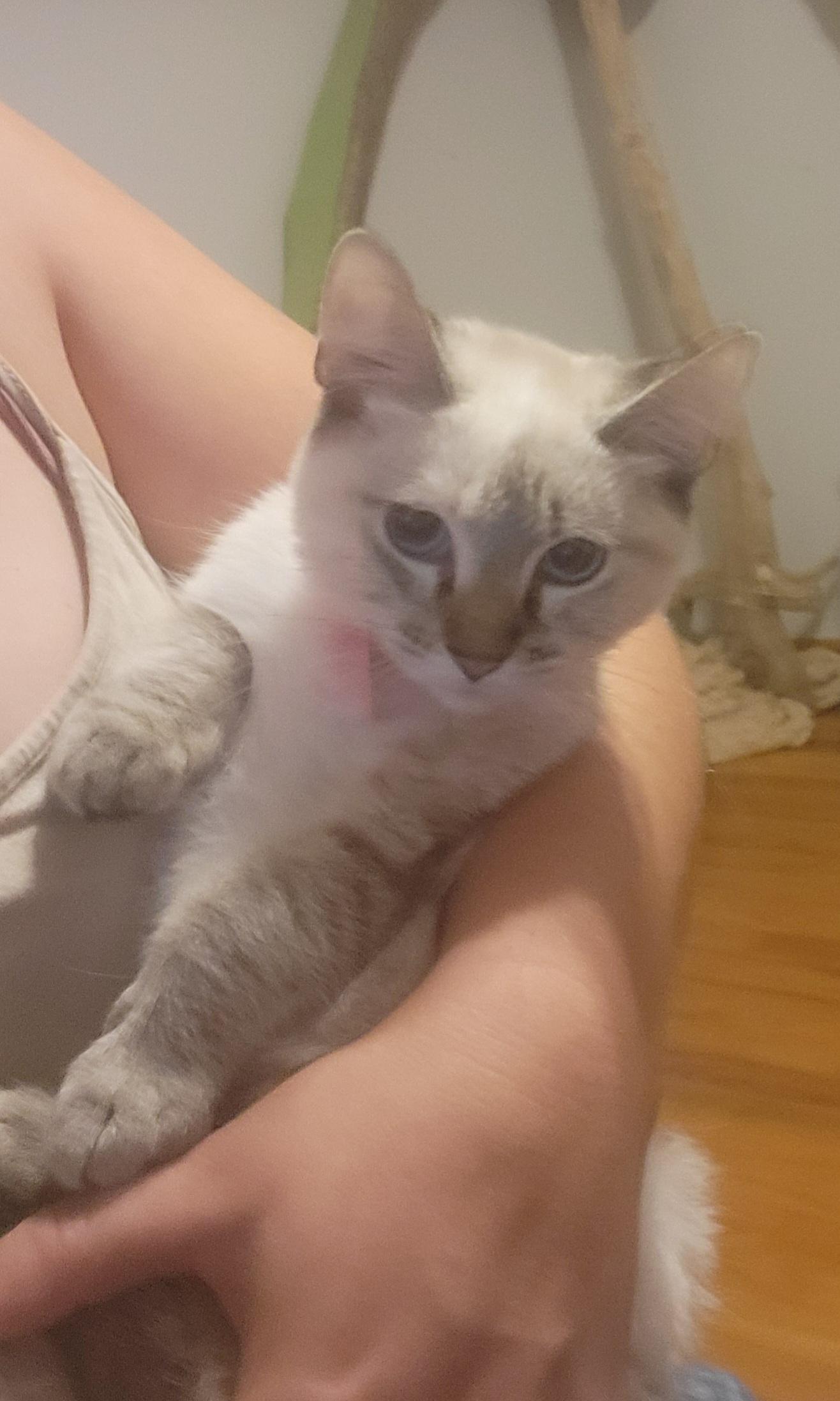 Pearl