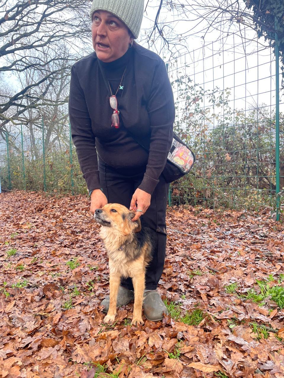 Enlarge Vania, a Adoptable Mixed Breed in silver spring, MD image 3/4