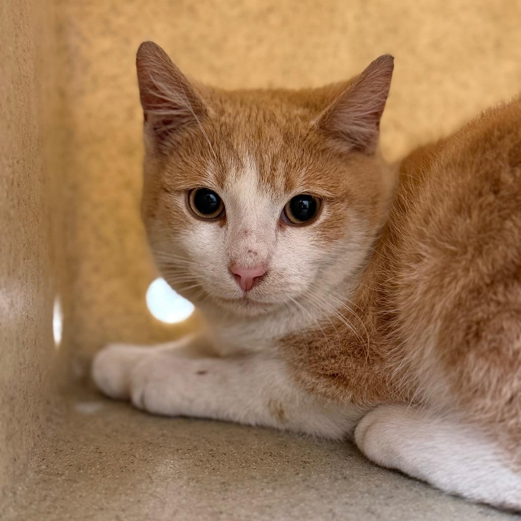 Willard Moe — thumbnail 2