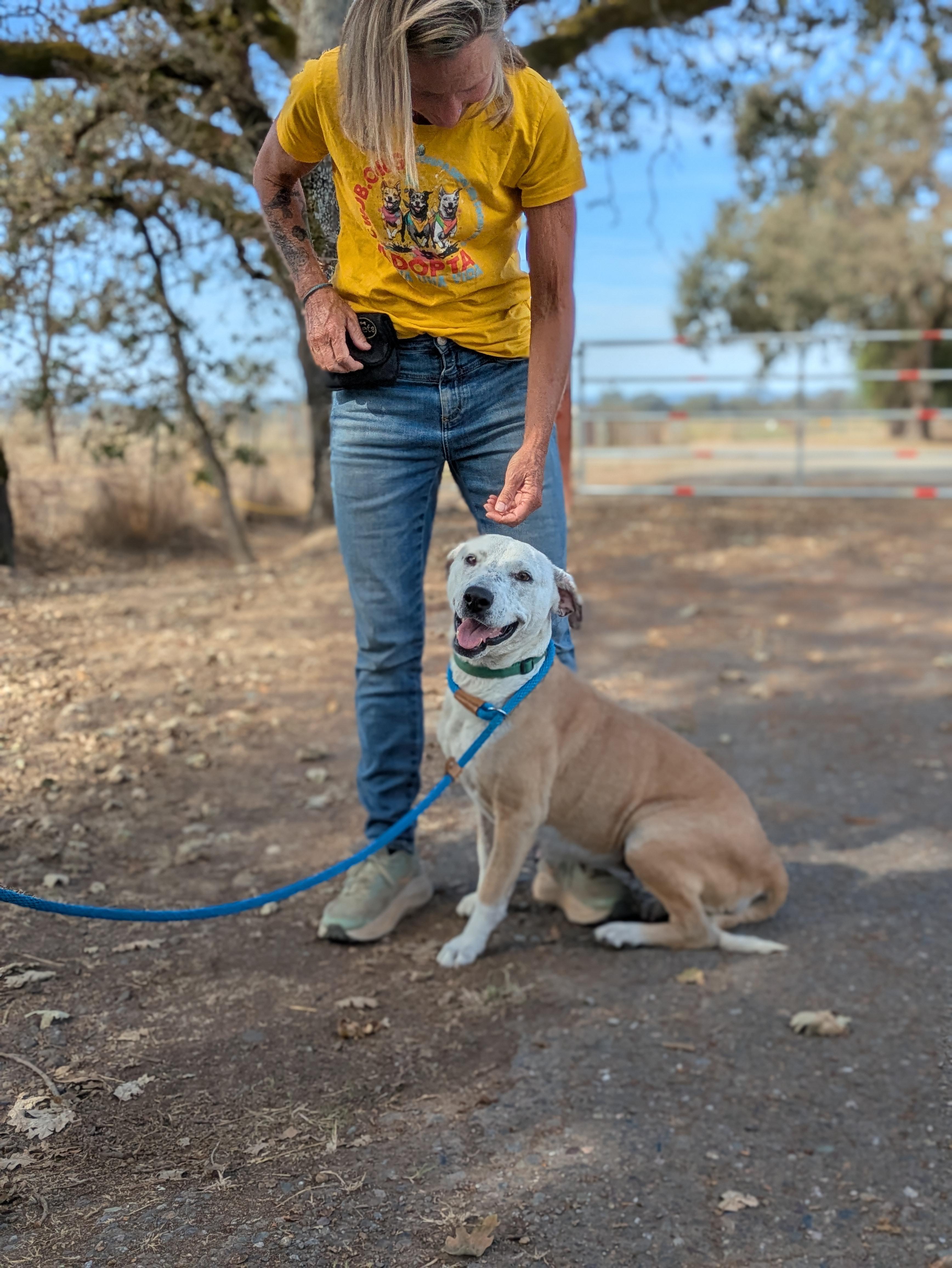 Enlarge Luchita, a Adoptable mixed breed in Santa Rosa, CA image 1/4