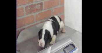 Justin — thumbnail 2