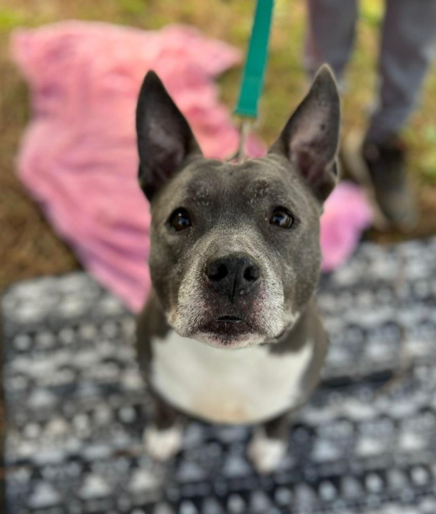 Winnie — thumbnail 2