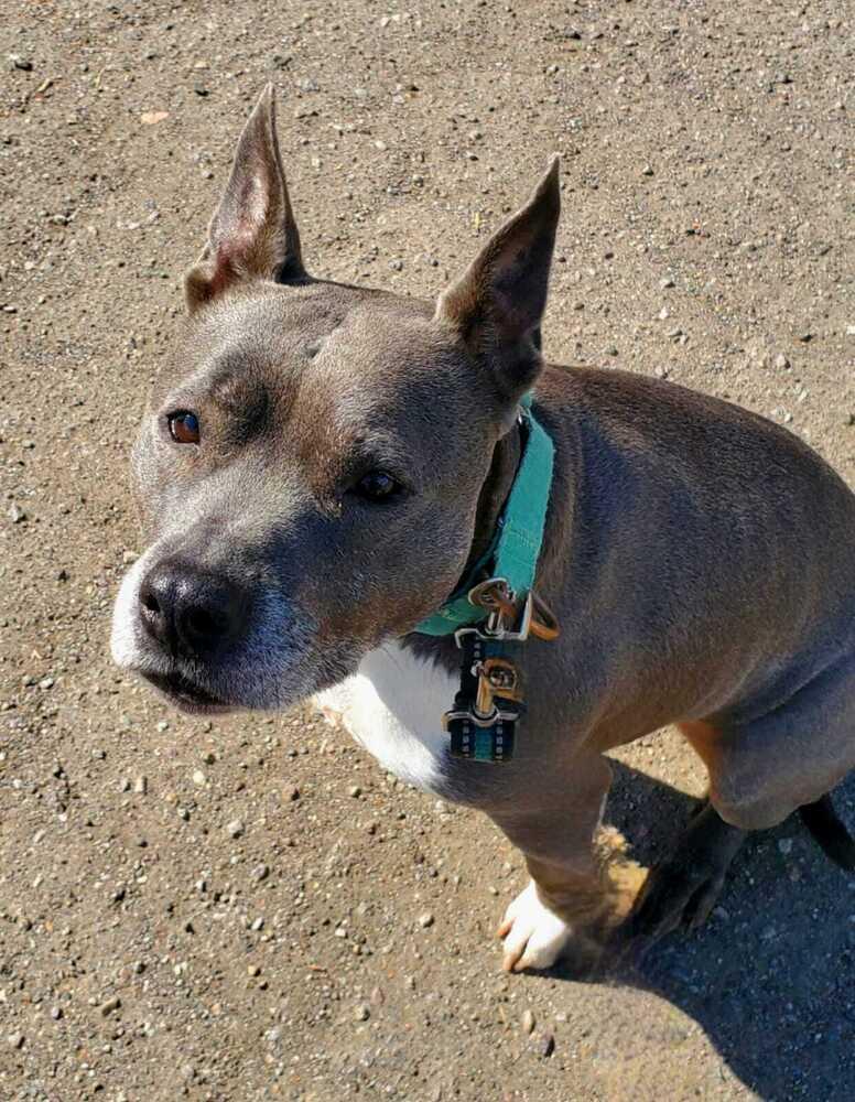 Winnie — thumbnail 4