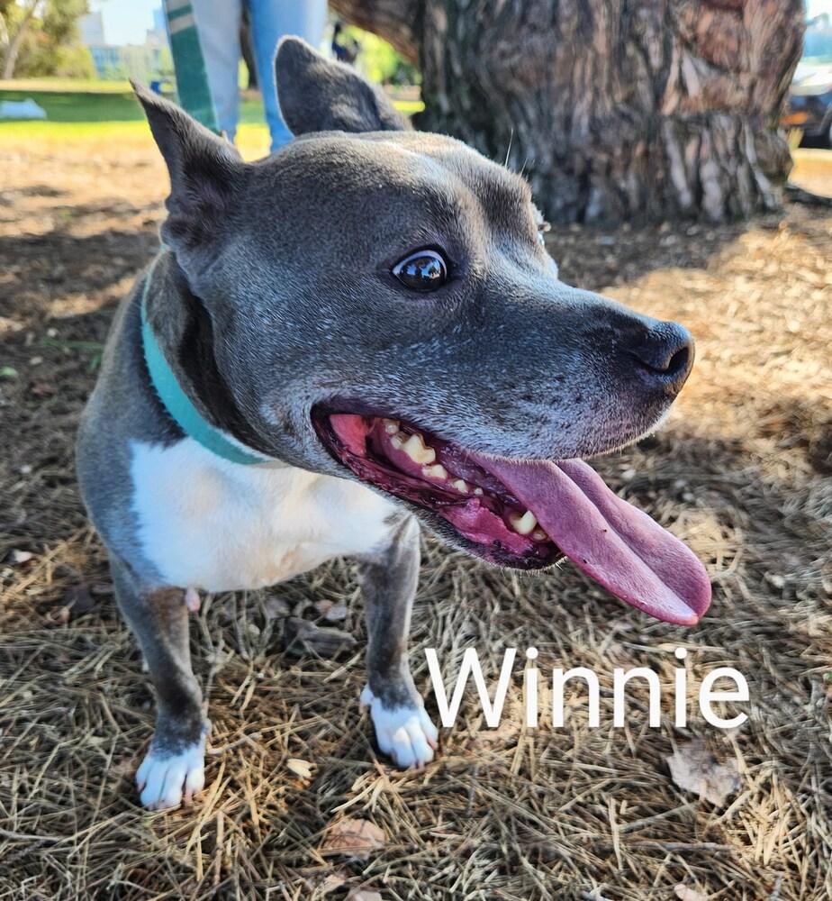 Winnie — thumbnail 5