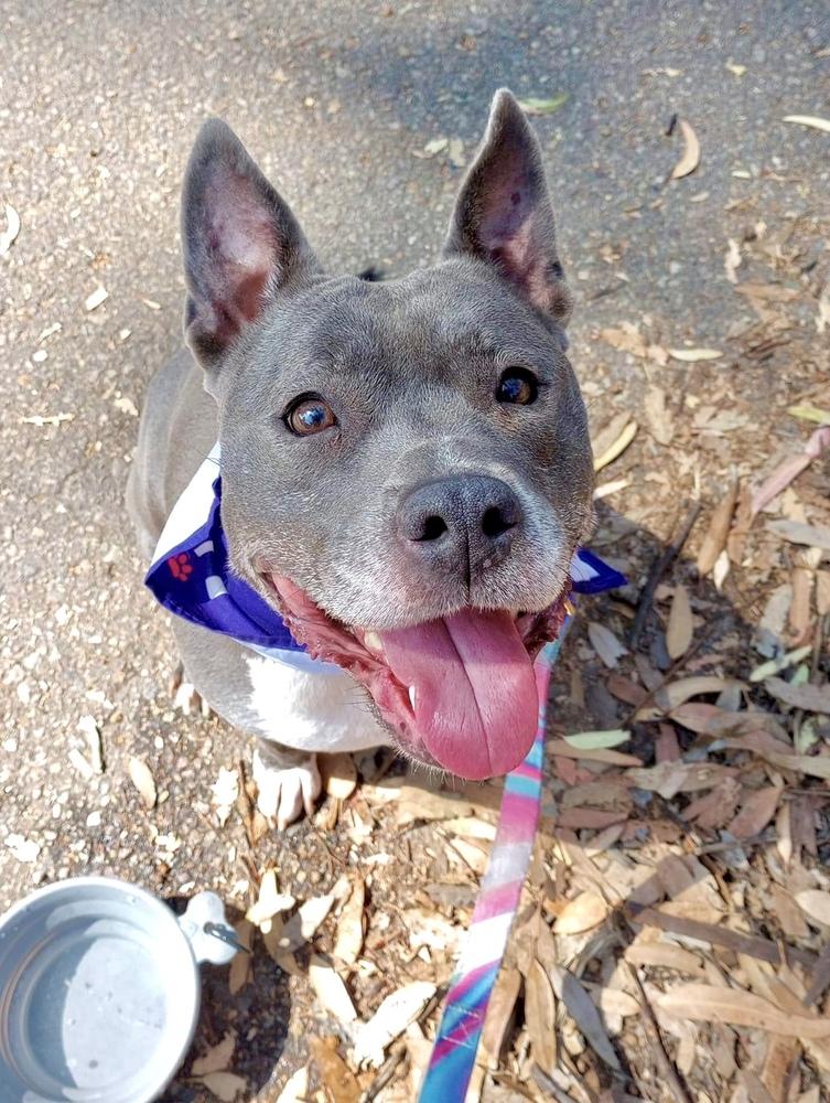 Winnie — thumbnail 6