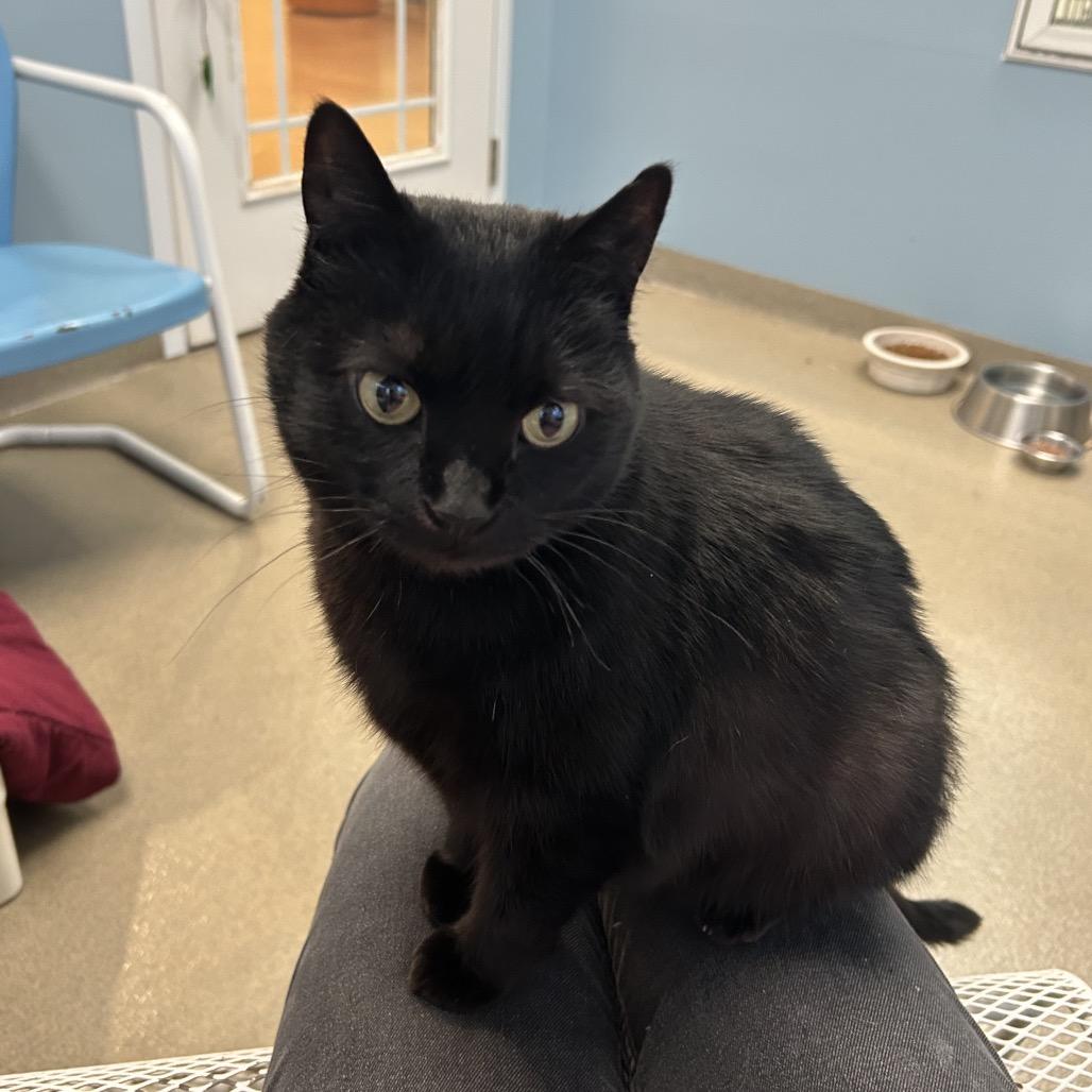 Tiny — thumbnail 4