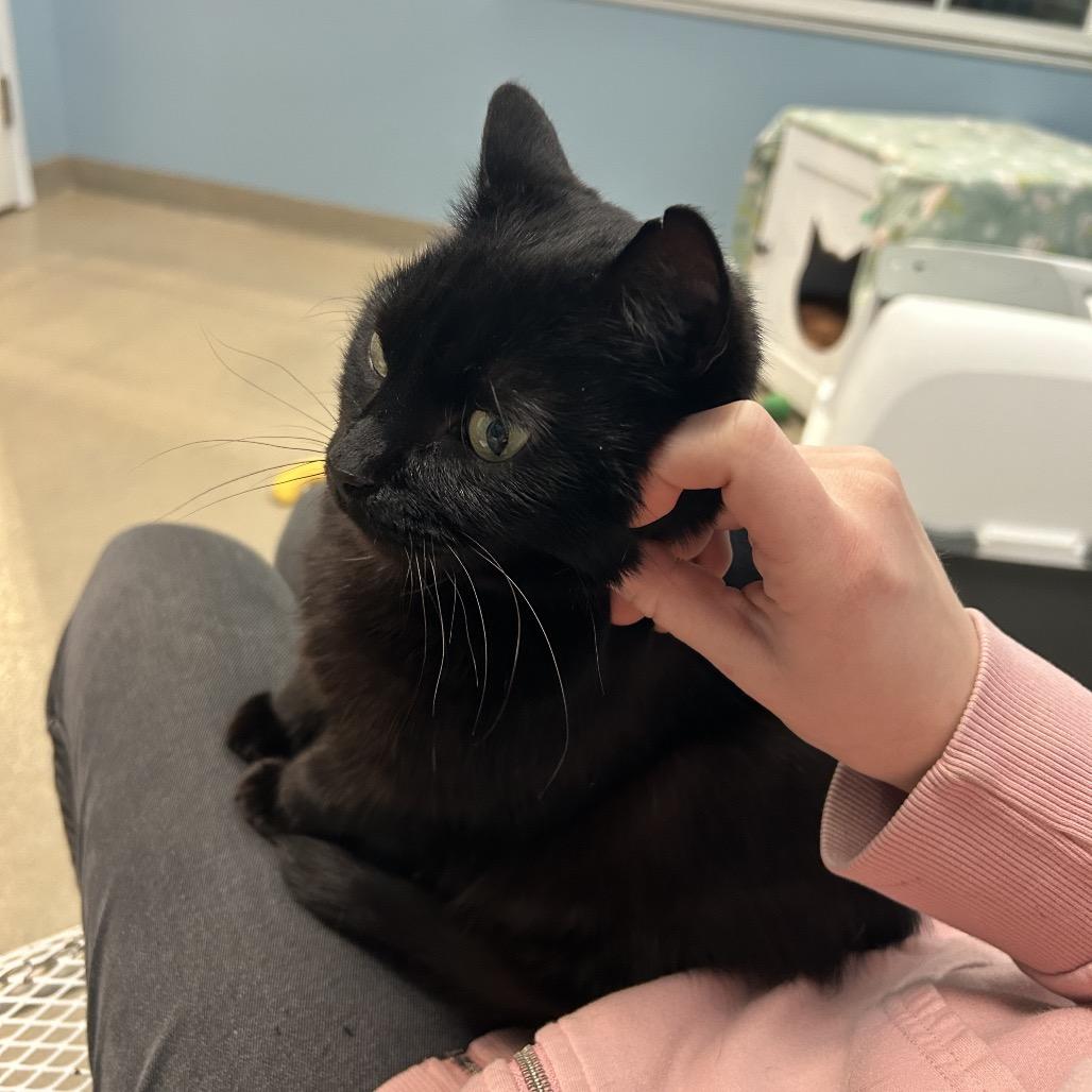 Tiny — thumbnail 5