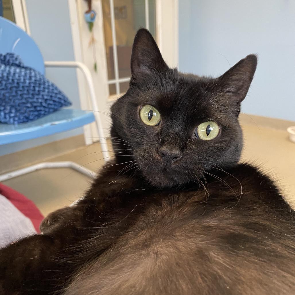 Tiny — thumbnail 6