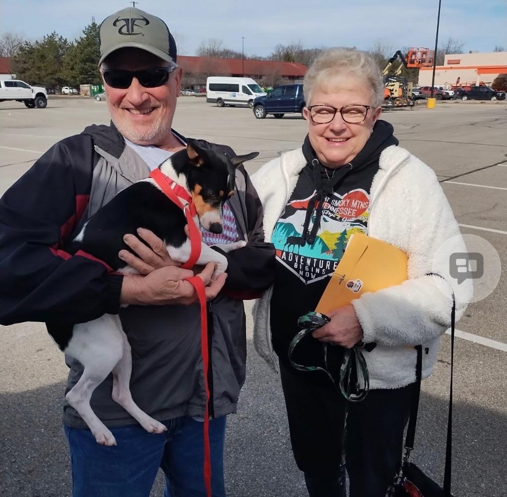 Snap, a Adopted mixed breed in Crossville, TN image 1/5
