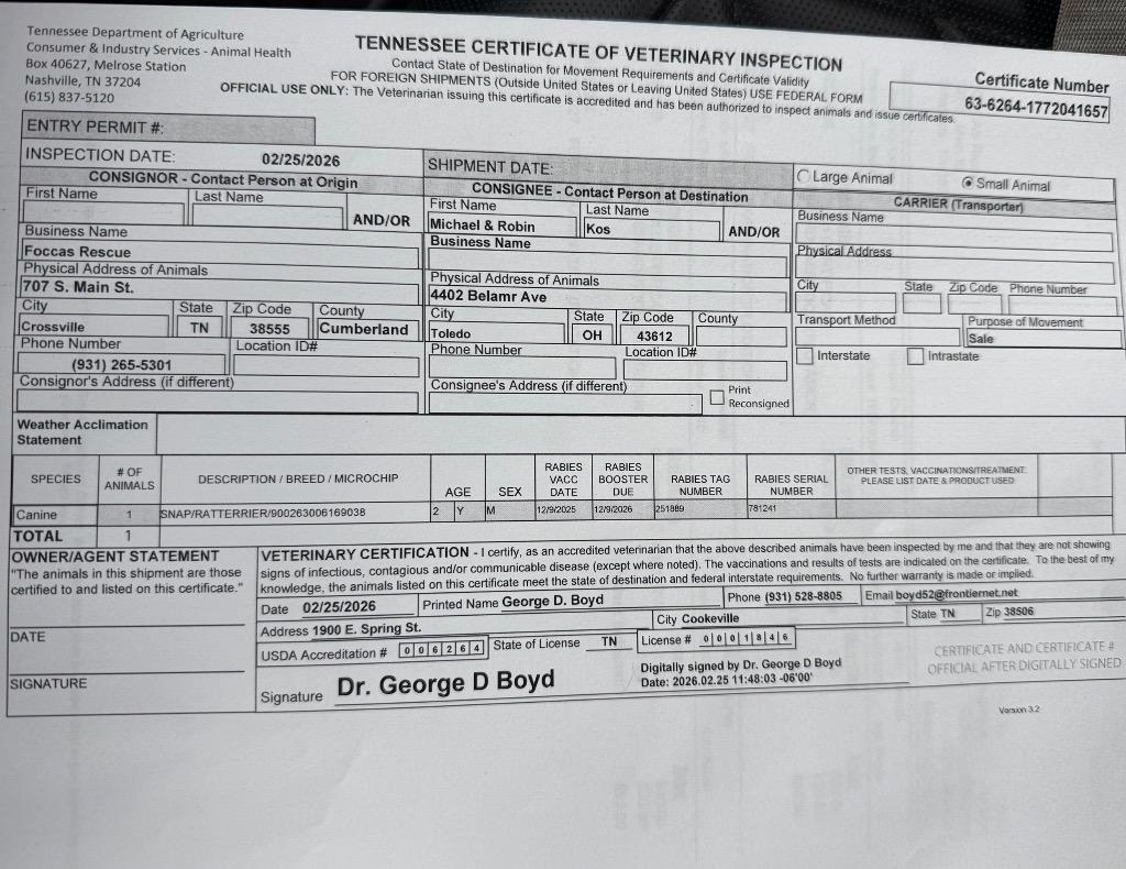 Snap, a Adopted mixed breed in Crossville, TN image 4/5