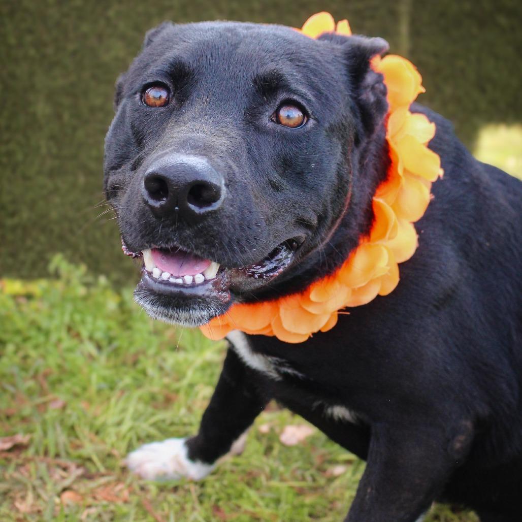 Uzumaki — thumbnail 3