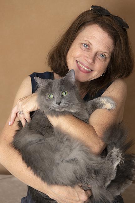 Issa, ADOPTABLE, Adult Female Maine Coon & Domestic Medium Hair.