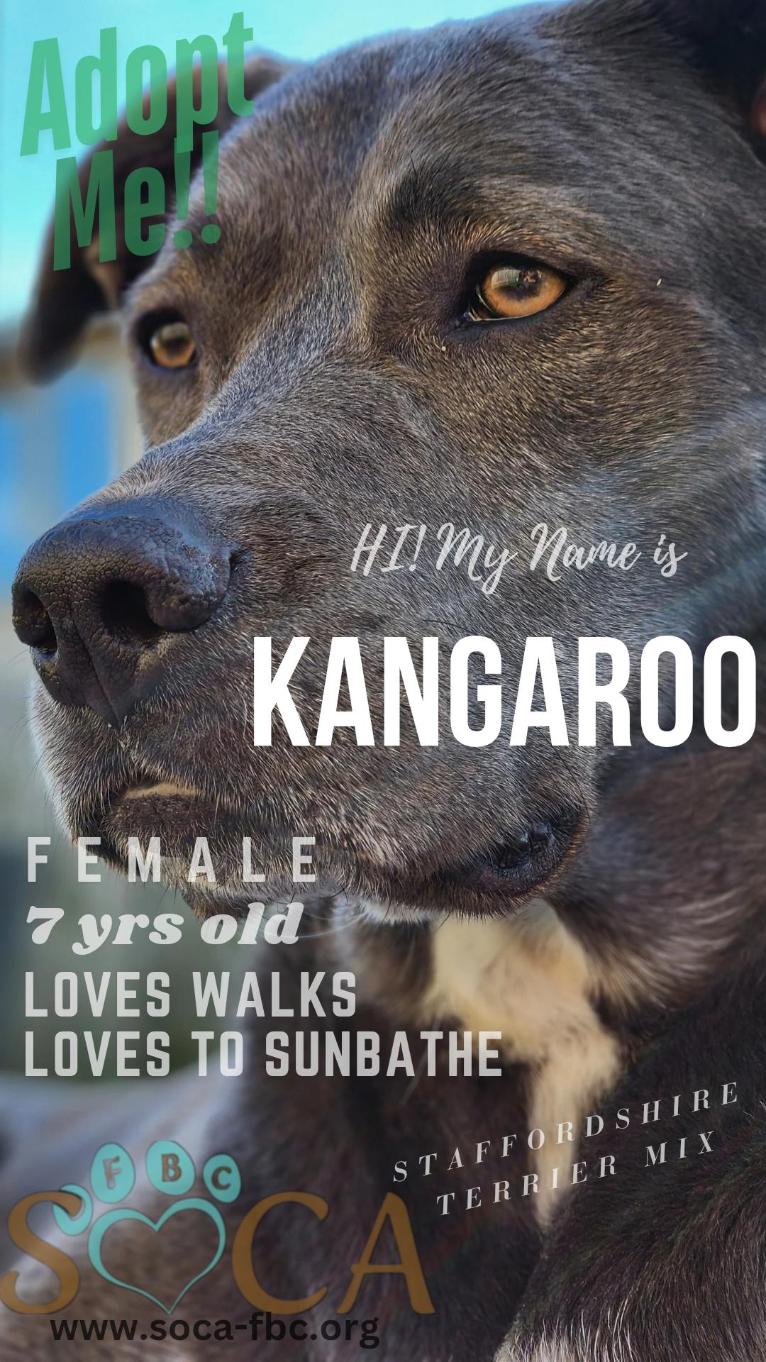KangaRoo