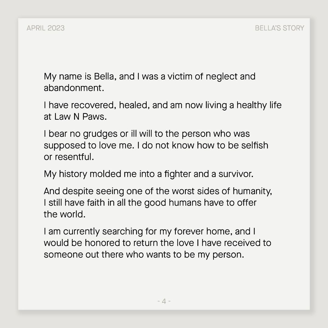 Enlarge Bella, a Adoptable Shepherd in El Paso, TX image 1/10