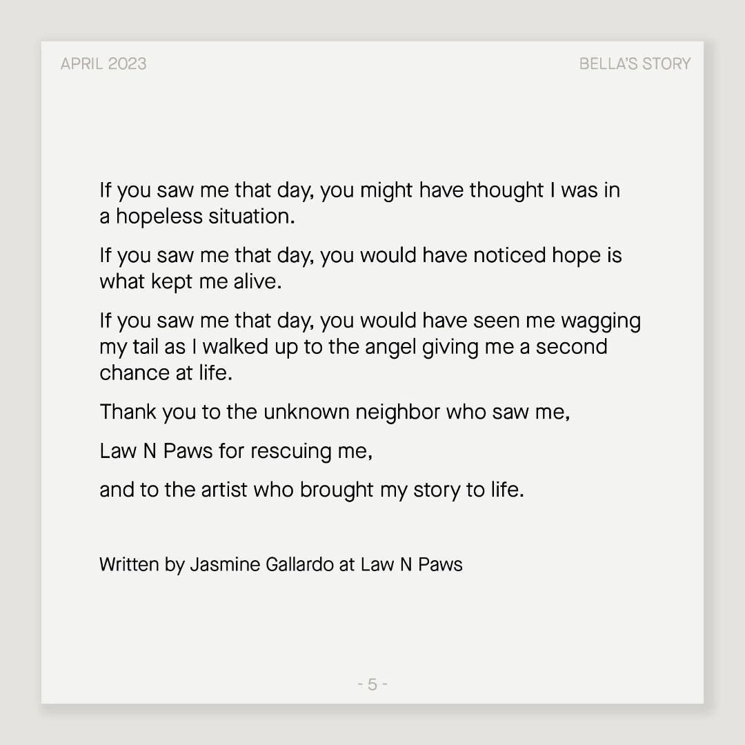 Enlarge Bella, a Adoptable Shepherd in El Paso, TX image 2/10