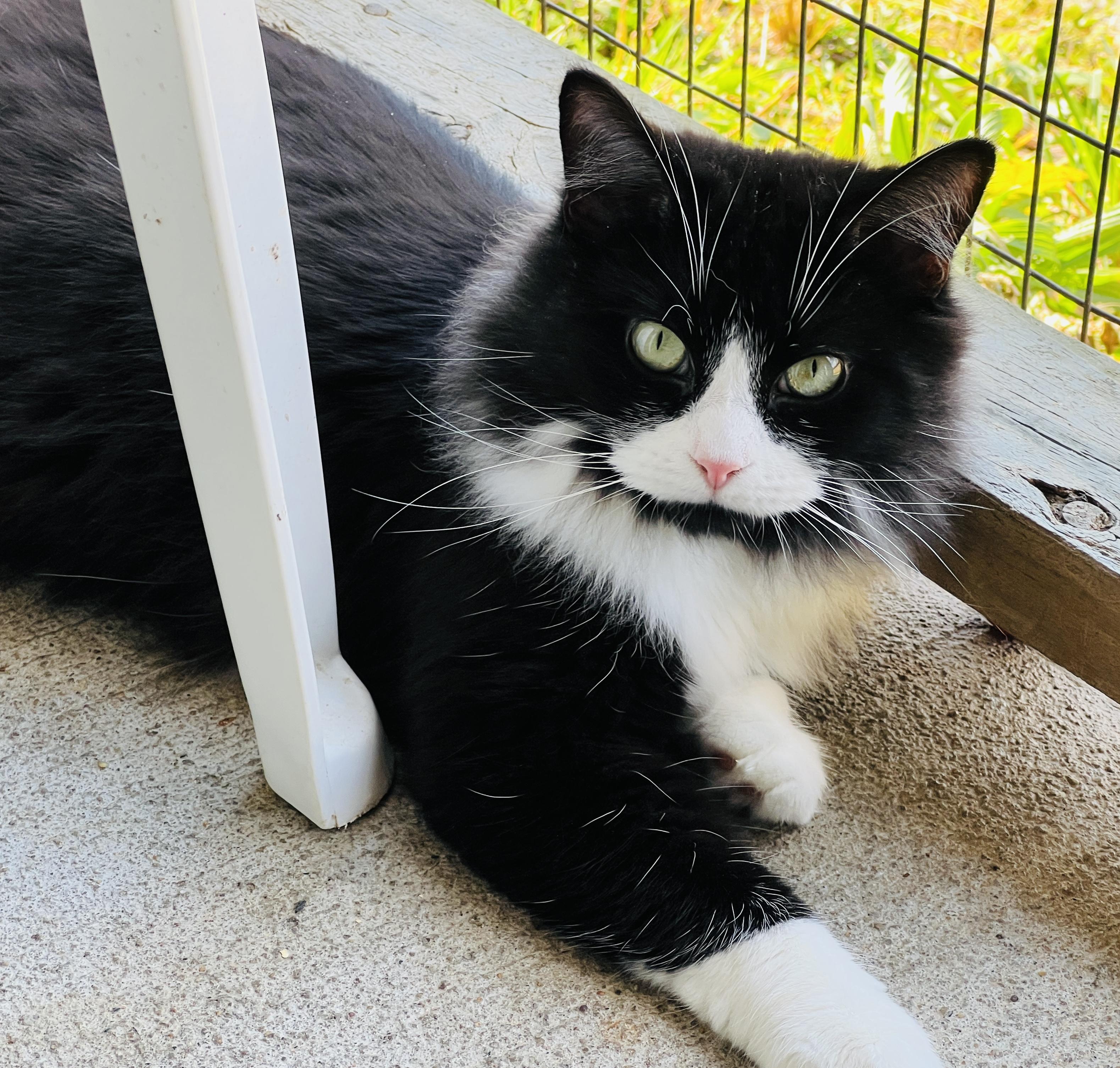 Chenille thumbnail 6