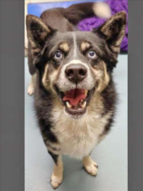 MARTY — thumbnail 2