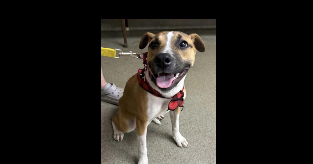 Baby Jane thumbnail 3