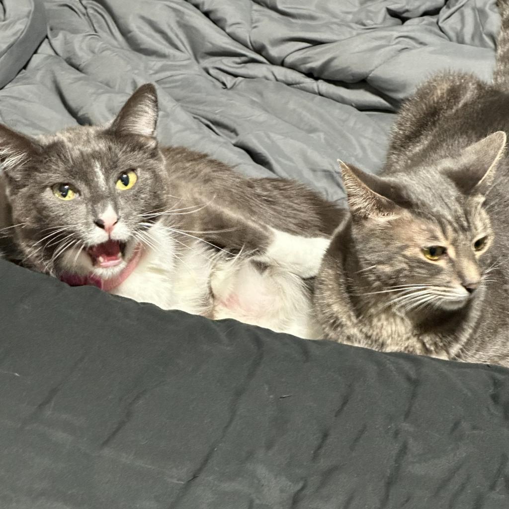 Caroline — thumbnail 2