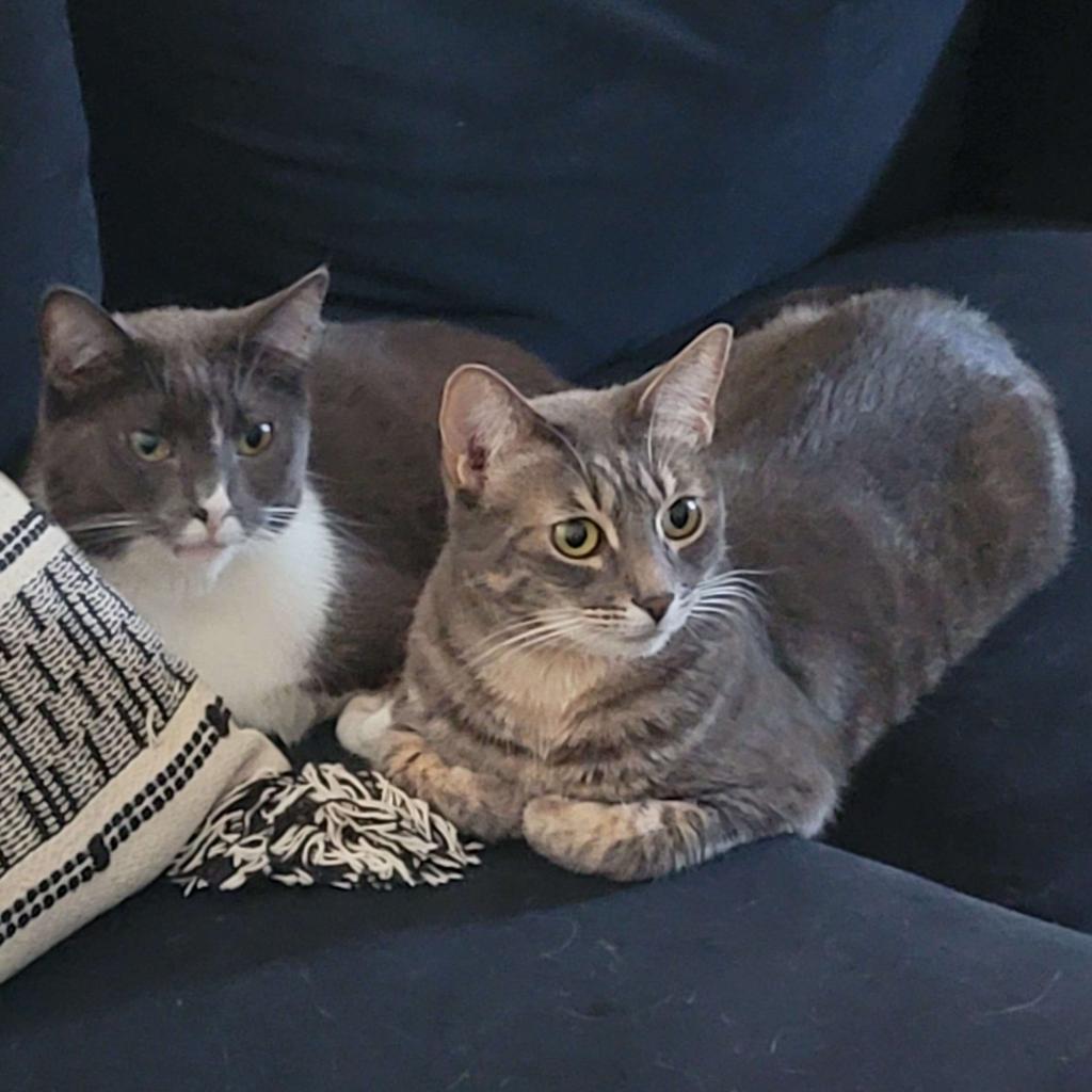 Caroline — thumbnail 4