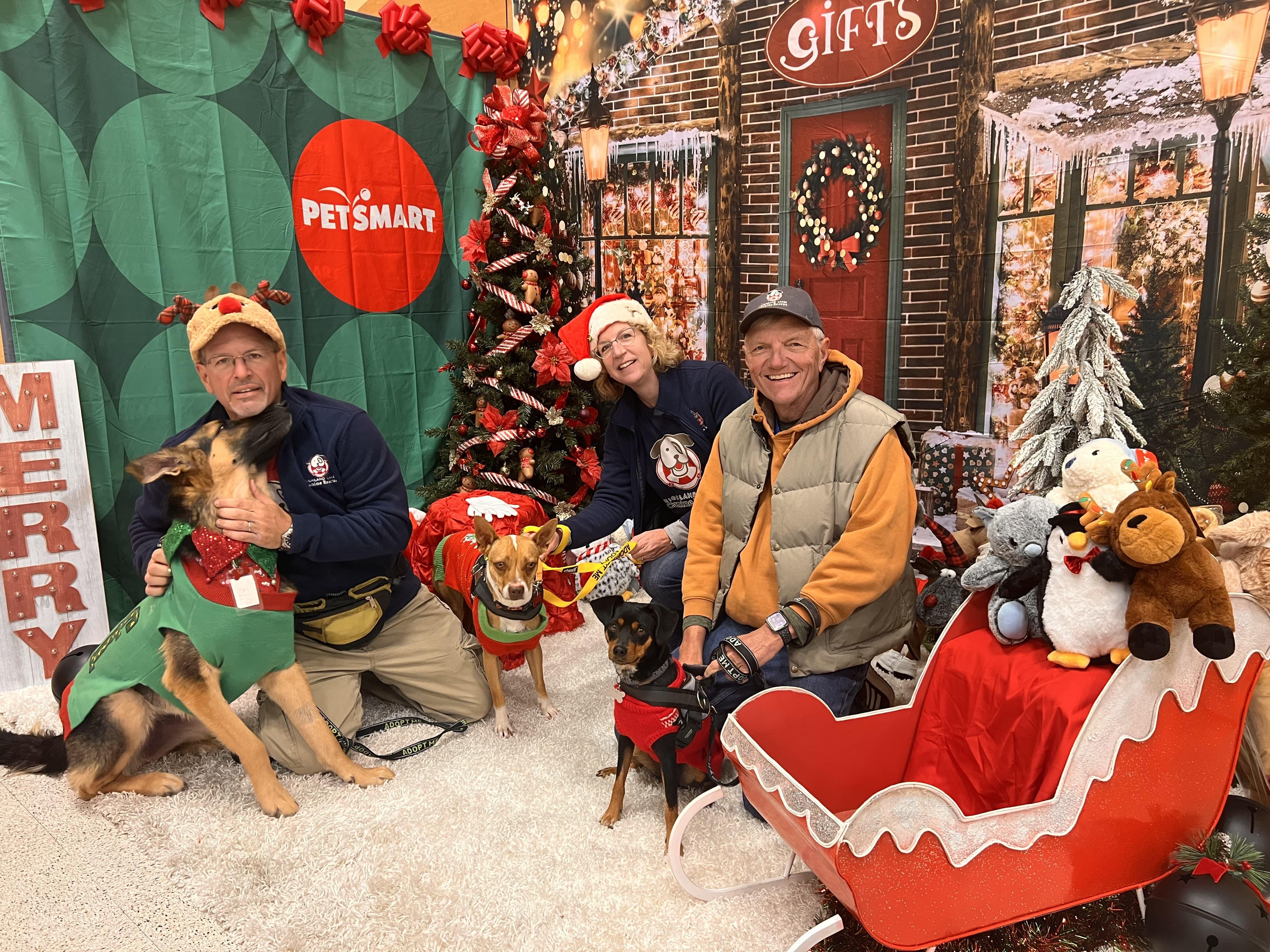 Enlarge Henry, a Adoptable mixed breed in Marble Falls, TX image 4/4