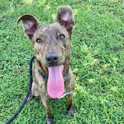 Roberta (20260118-03) — thumbnail 2