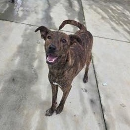 Roberta (20260118-03) — thumbnail 3