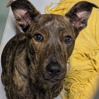 Roberta (20260118-03) — thumbnail 4