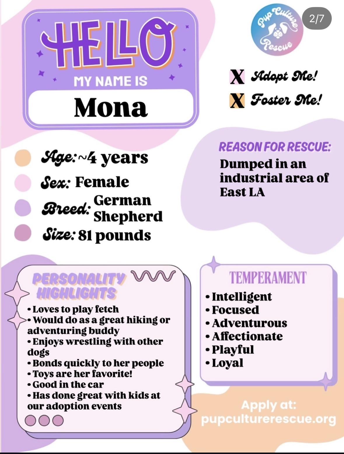 Mona, a Adoptable German Shepherd Dog in Pasadena, CA image 2/6