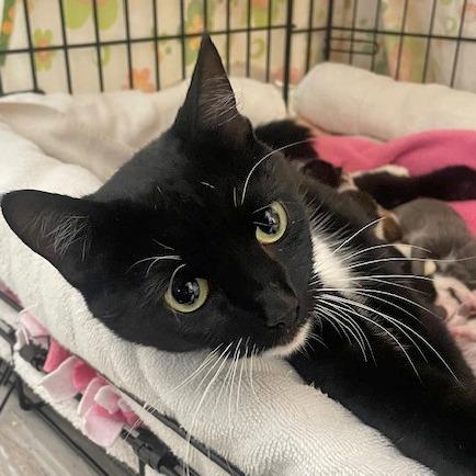 Mother Earth — thumbnail 2