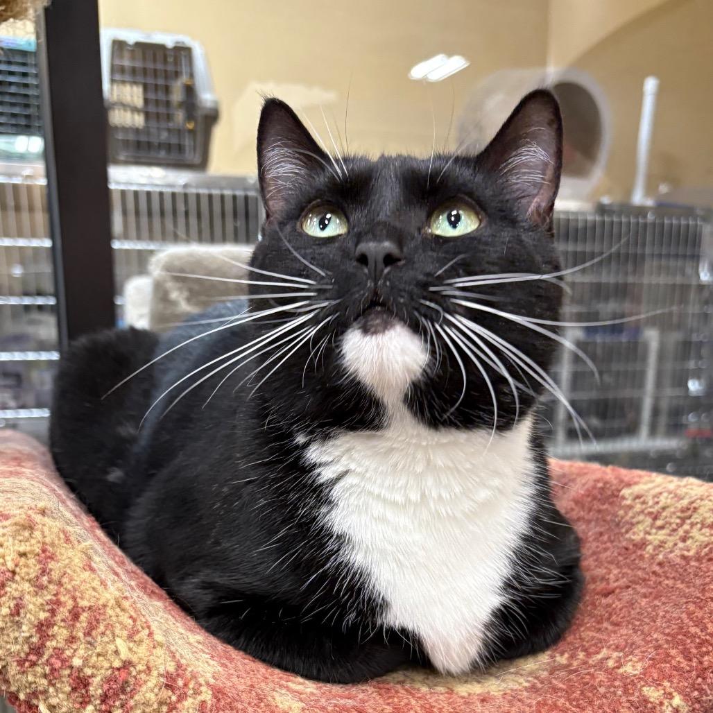 Mother Earth — thumbnail 3