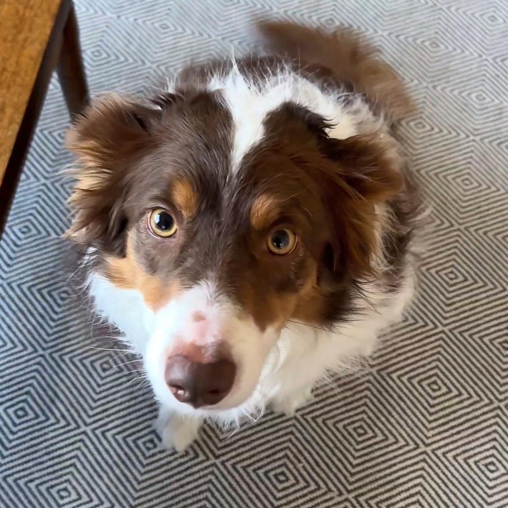 Miley — thumbnail 2