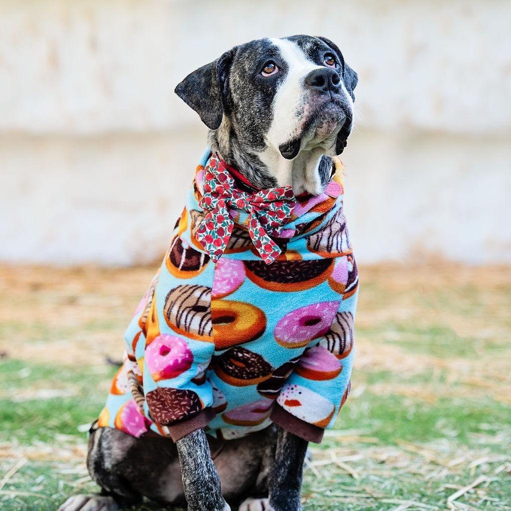 Enlarge Tiff, a Adoptable English Bulldog in Los Angeles, CA image 4/5